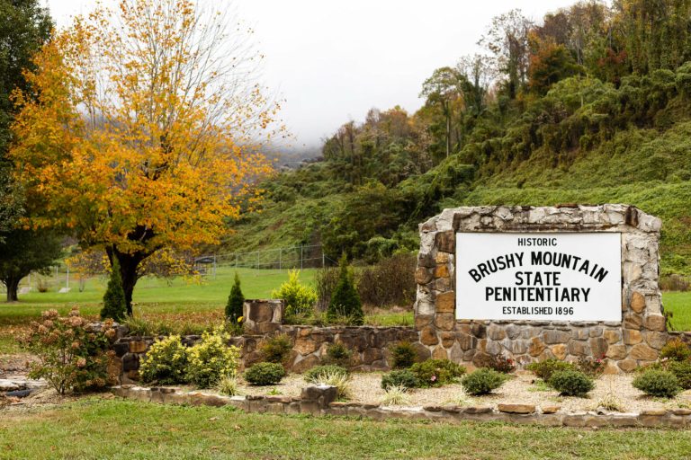 Brushy-Signs-1-1450x967