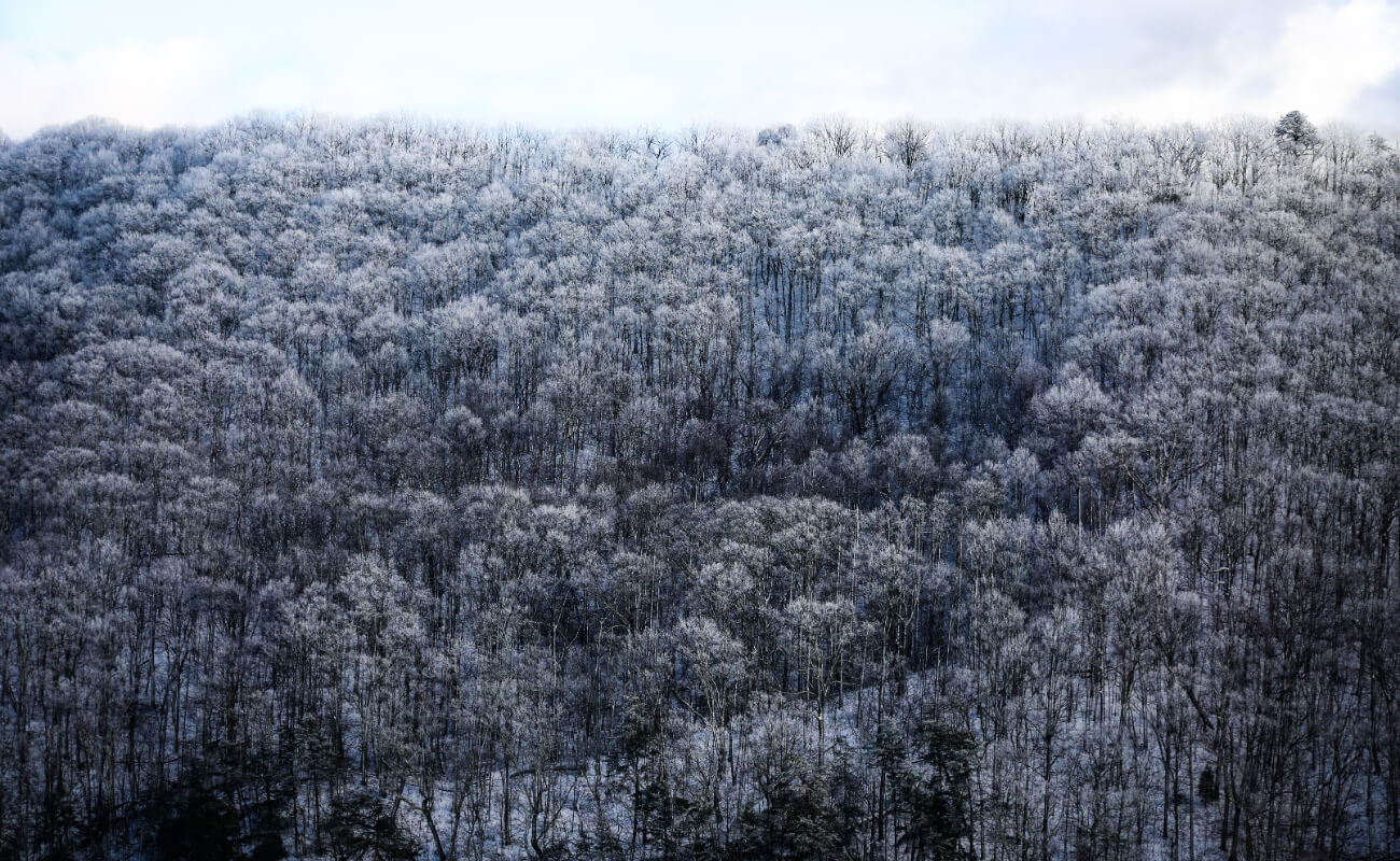 gallery-general-photos-08